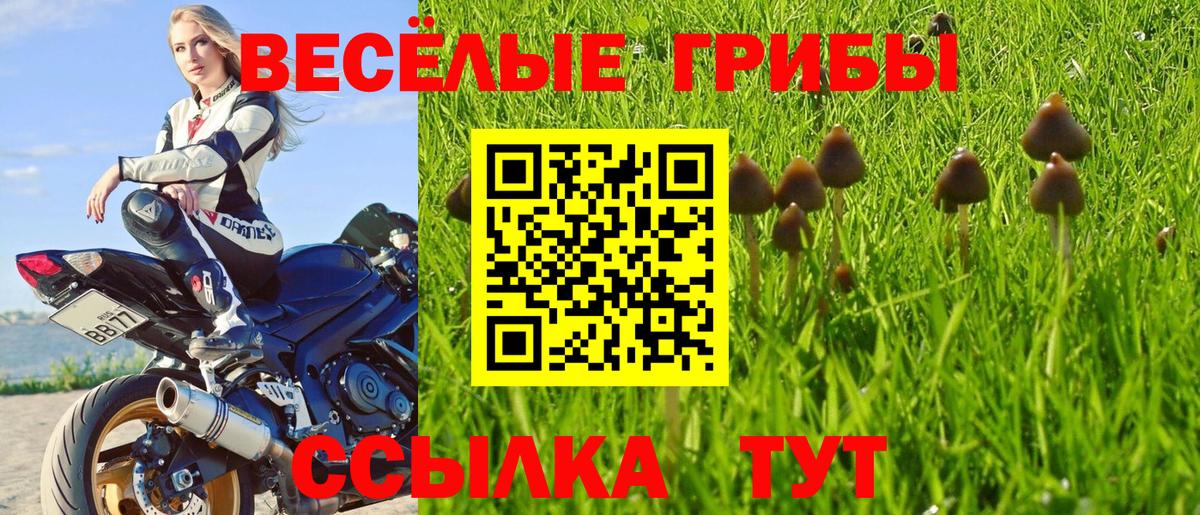 Екатеринбург  Галлюциногенные грибы Psilocybe  Вход с VPN  Псилоцибиновые грибы мухоморы 