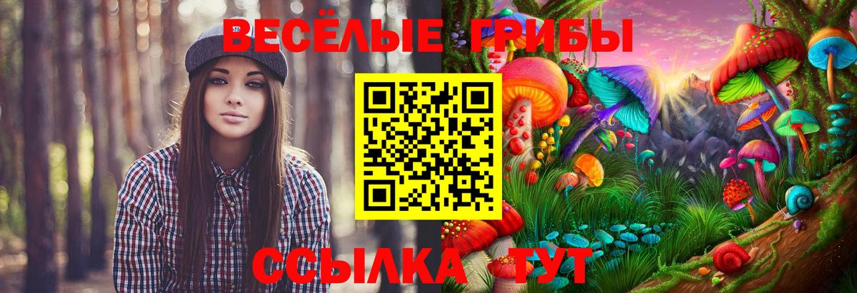 Галлюциногенные грибы MAGIC MUSHROOMS Екатеринбург