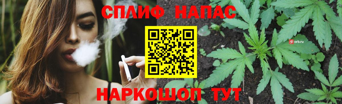Шишки марихуана марихуана Екатеринбург